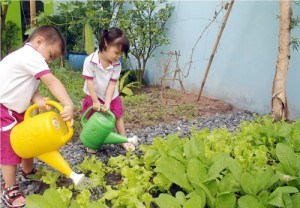 Ảnh đại diện
